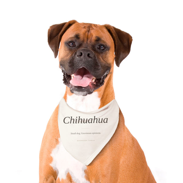 Chihuahua Dog Bandana - Keepsake Gift for Chihuahua Owners