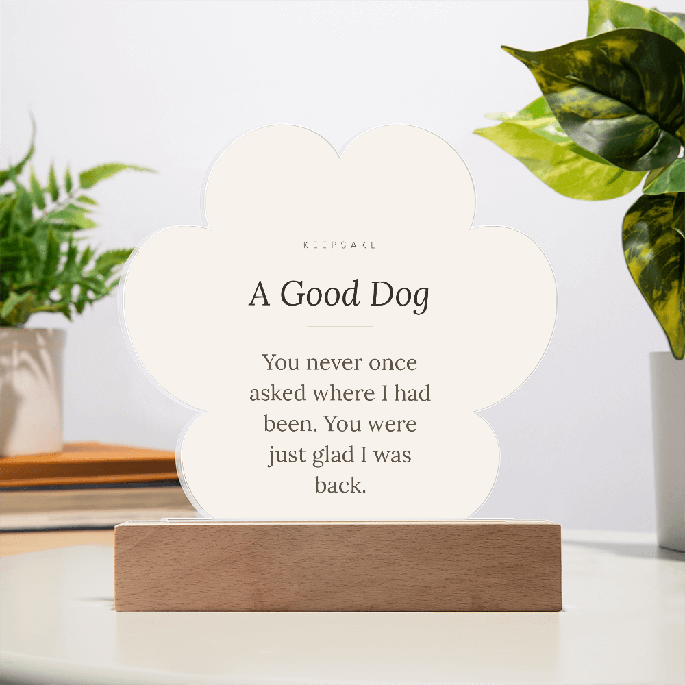 In Memory of a Good Dog Acrylic Paw Plaque with LED Base - Pet Memorial Gift – view 6