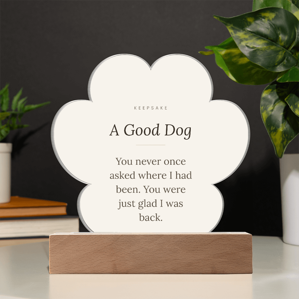 In Memory of a Good Dog Acrylic Paw Plaque with LED Base - Pet Memorial Gift – view 7